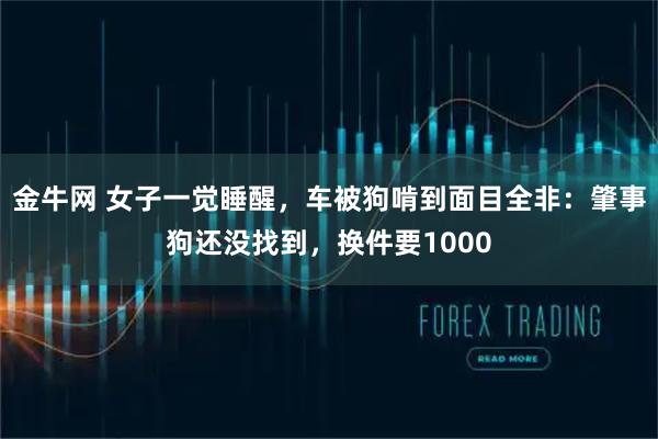 金牛网 女子一觉睡醒，车被狗啃到面目全非：肇事狗还没找到，换件要1000