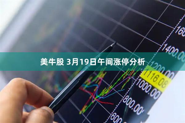 美牛股 3月19日午间涨停分析