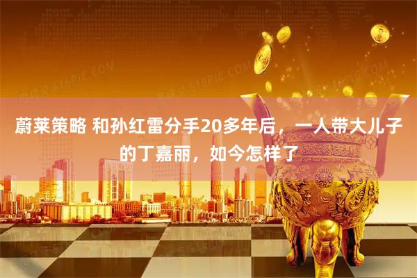 蔚莱策略 和孙红雷分手20多年后，一人带大儿子的丁嘉丽，如今怎样了