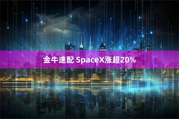 金牛速配 SpaceX涨超20%